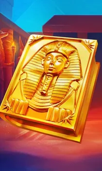 Book of Gold Multichance